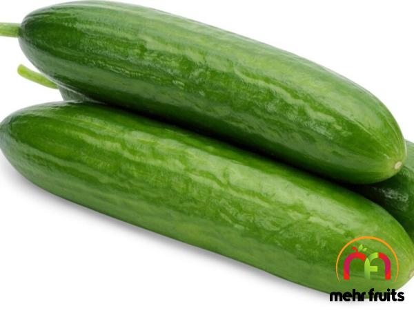 Buy green cucumber vs continental types + price