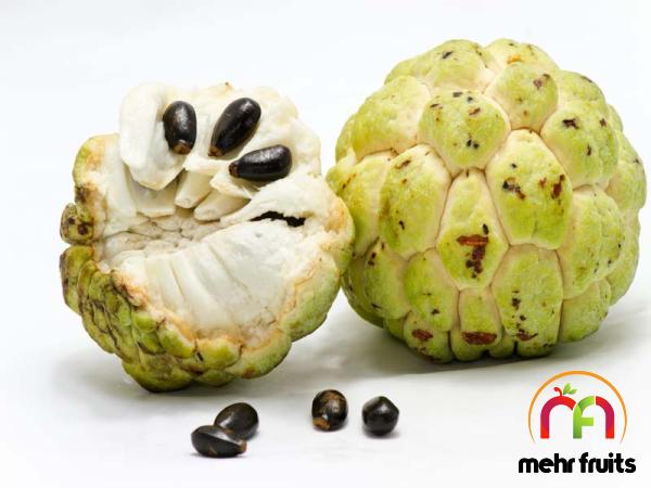 Price and buy jamaican sugar apple fruit + cheap sale