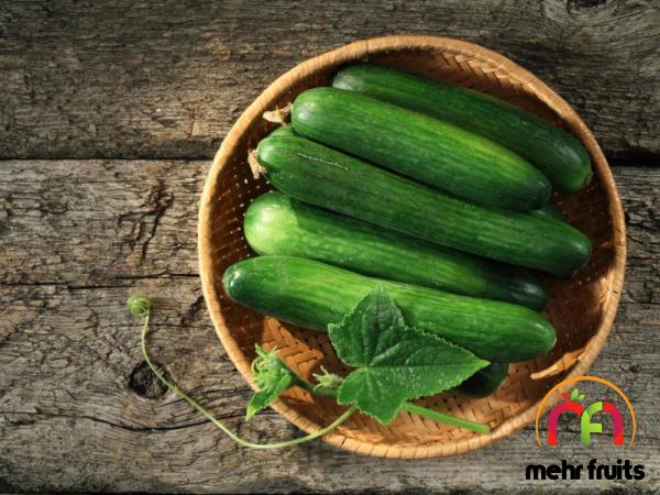 Green cucumber purchase price + sales in trade and export