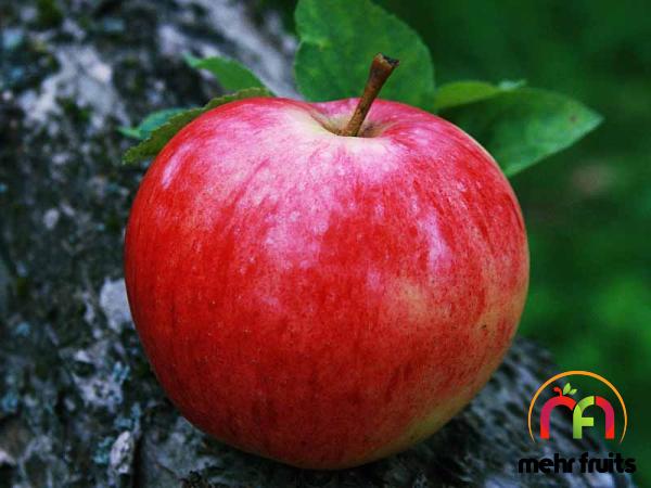 Buy honeycrisp vs fuji + great price with guaranteed quality