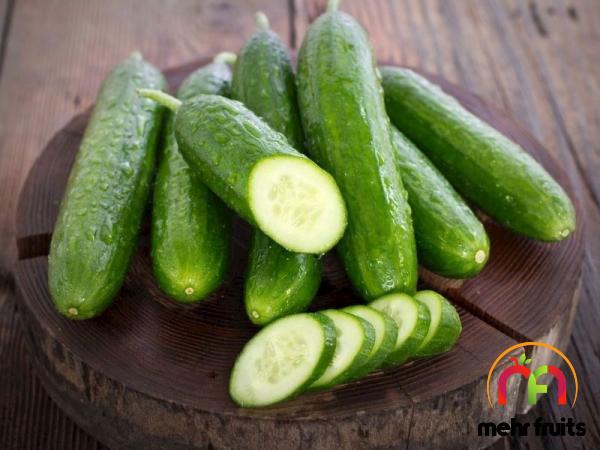 Introducing Italian round cucumber + the best purchase price