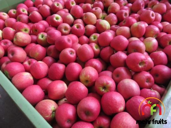 The purchase price of pink lady apples south africa