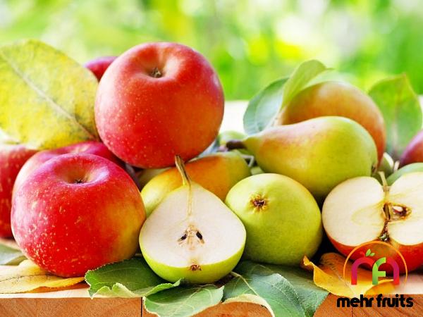 Buy red delicious apple vs gala + best price