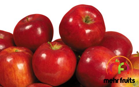 yantai fuji apple price list wholesale and economical